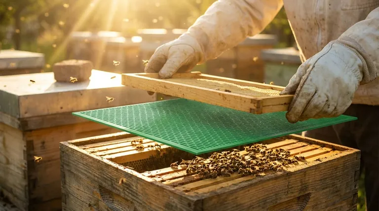 여왕벌 격리판의 추가적인 용도는 무엇인가요? 고급 벌통 관리 기술 마스터하기