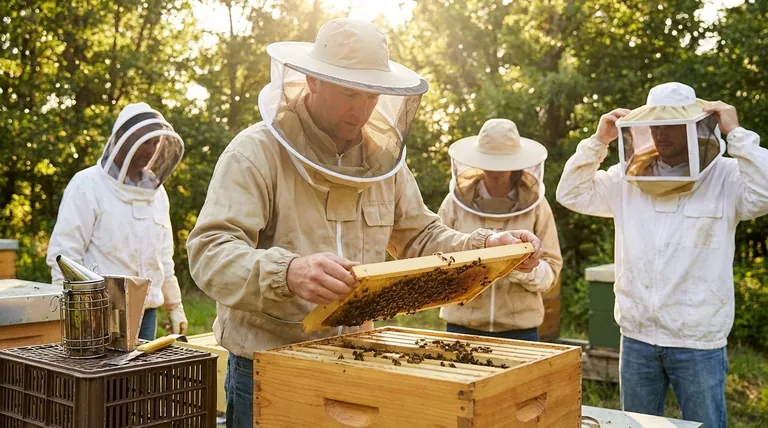 Which type of bee veil offers the best protection? Maximize Safety with Proper Space and Design