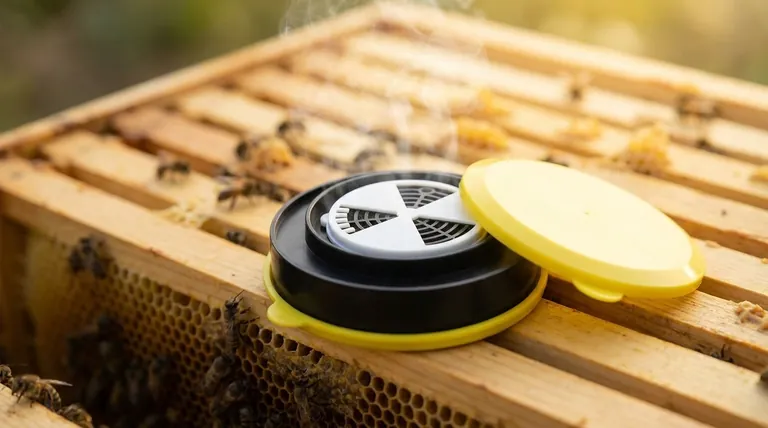 What is bee disinfestation equipment used for? A Chemical-Free Varroa Mite Solution