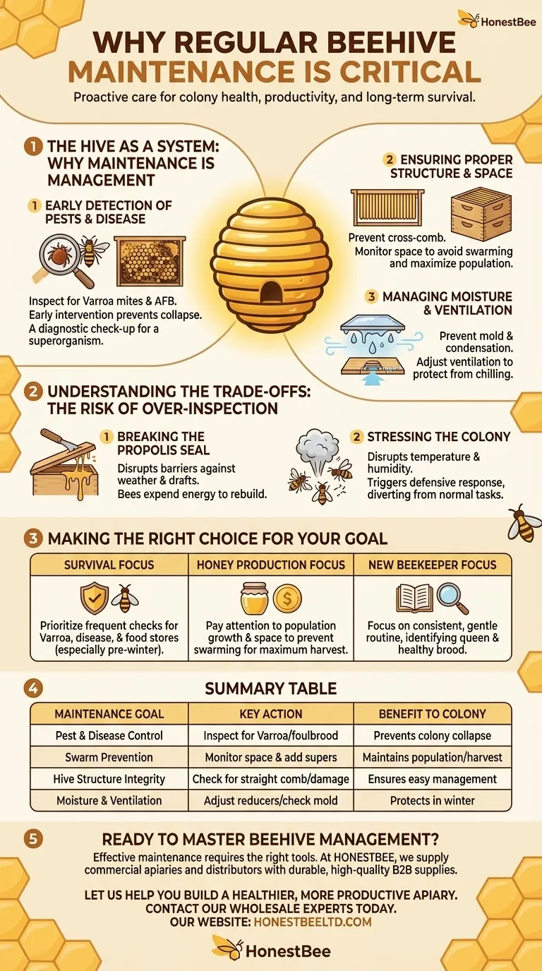 Why is regular beehive maintenance important? The Key to Colony Health and Honey Production Visual Guide