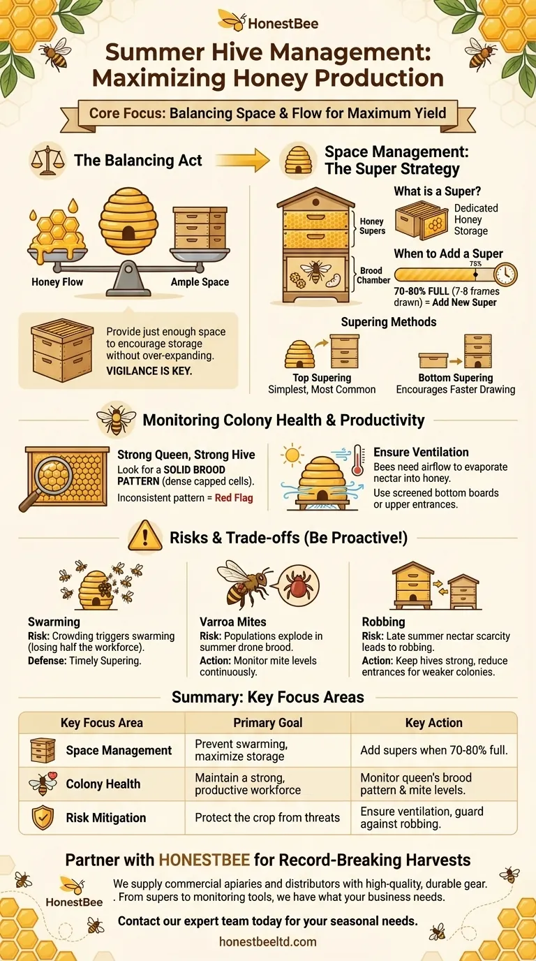 What is the focus of hive management during summer? Maximize Your Honey Harvest with Expert Tips Visual Guide