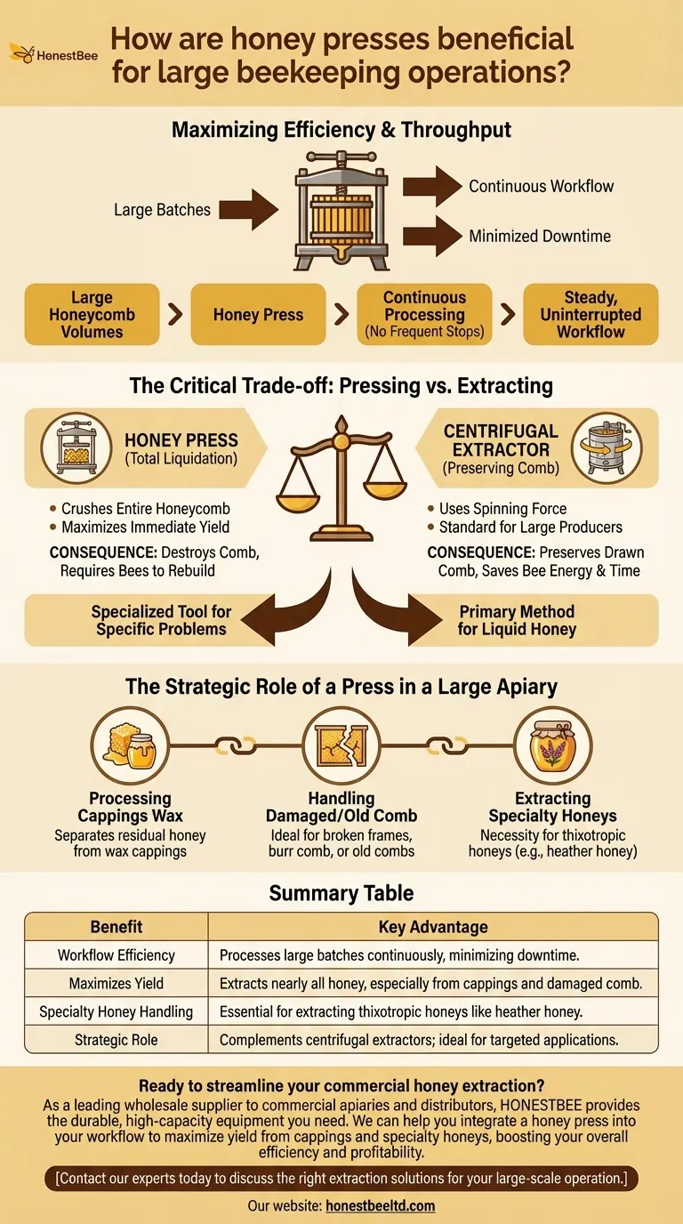 How are honey presses beneficial for large beekeeping operations? Maximize Yield & Efficiency Visual Guide
