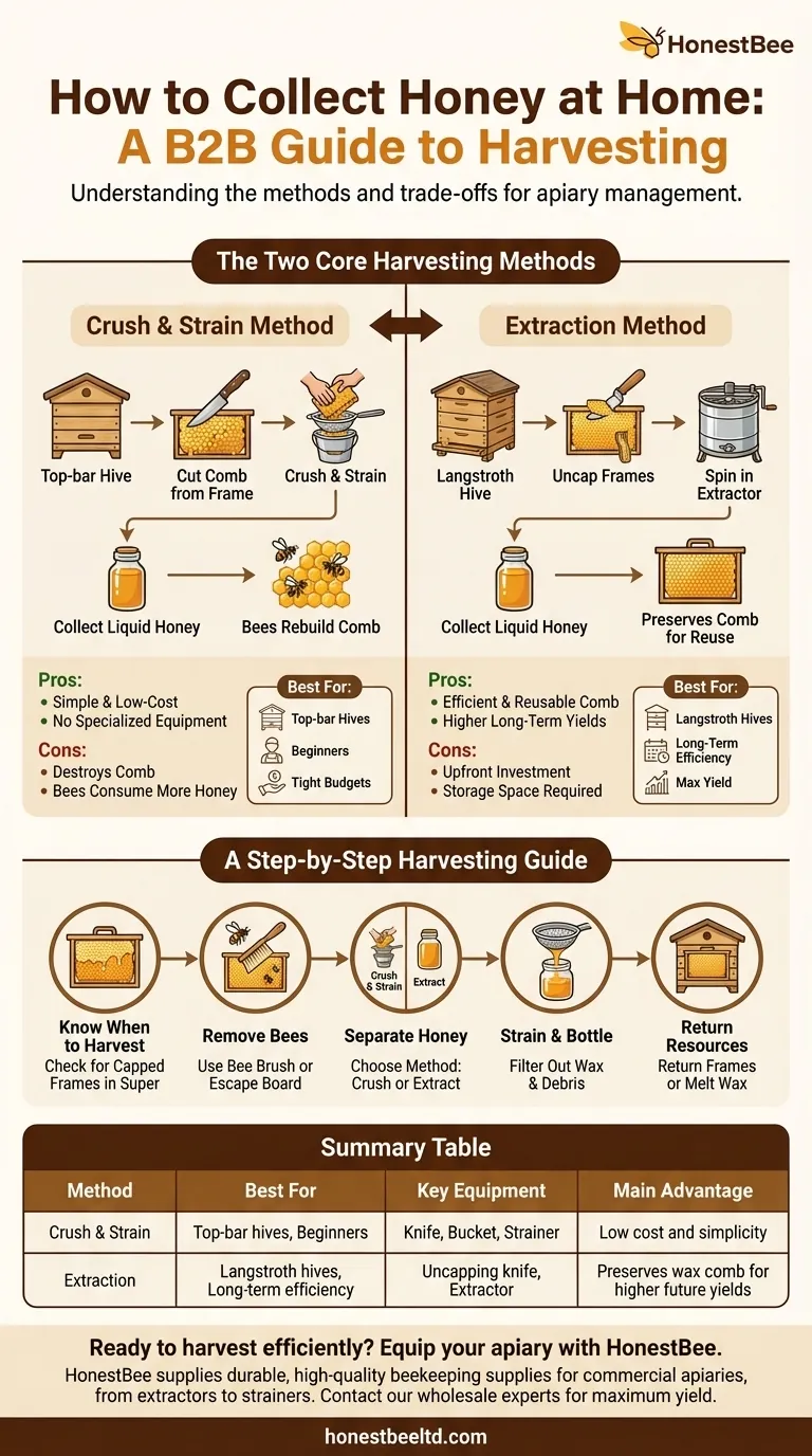 Como coletar mel em casa? Um Guia para Iniciantes na Colheita da Sua Colmeia Guia Visual