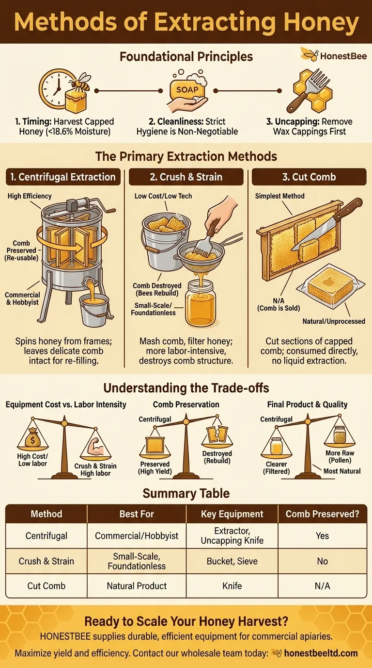 Quali sono i metodi di estrazione del miele? Centrifuga, Schiaccia e Filtra, o Favo Tagliato Guida Visiva