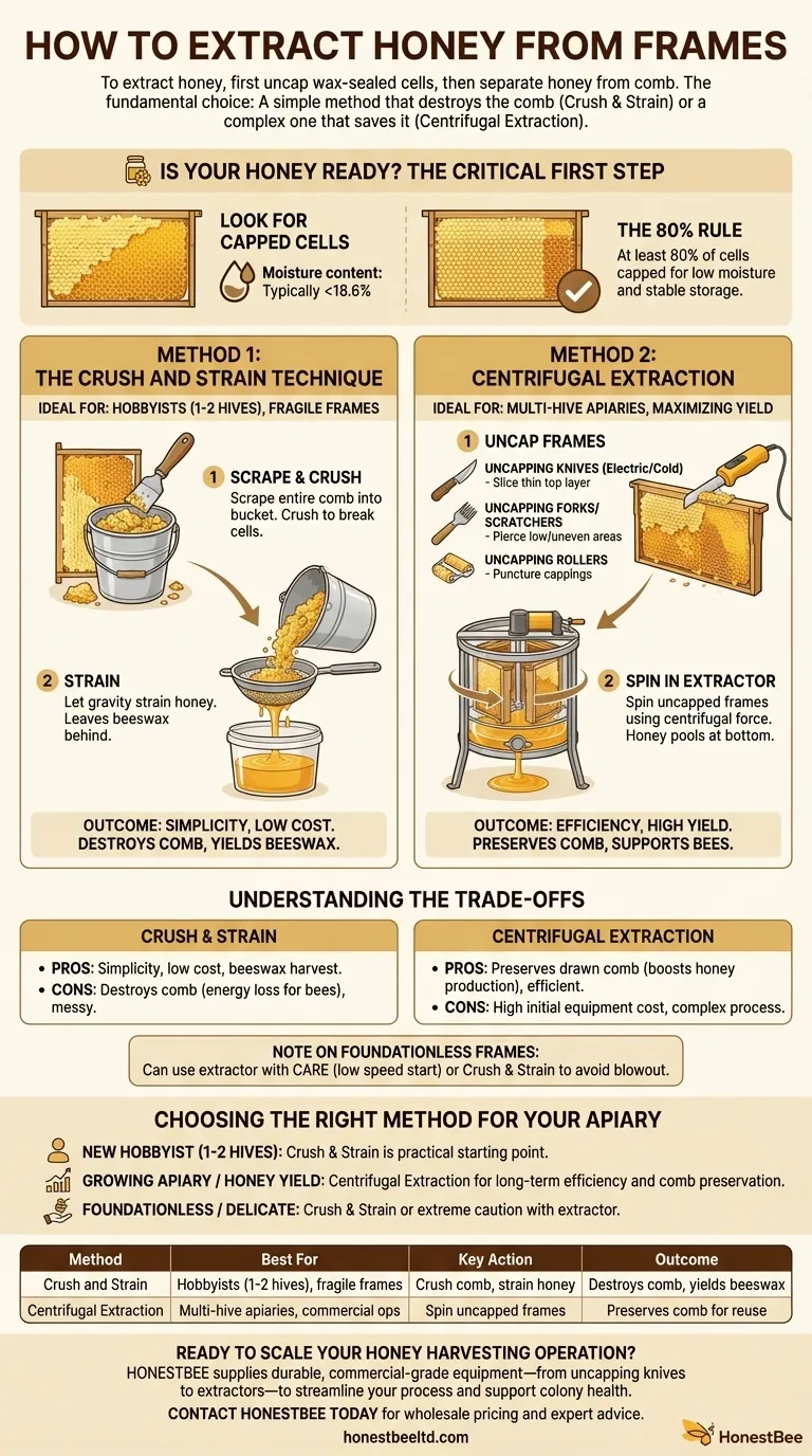 How do you extract honey from frames? Choose the Right Method for Your Apiary's Scale Visual Guide