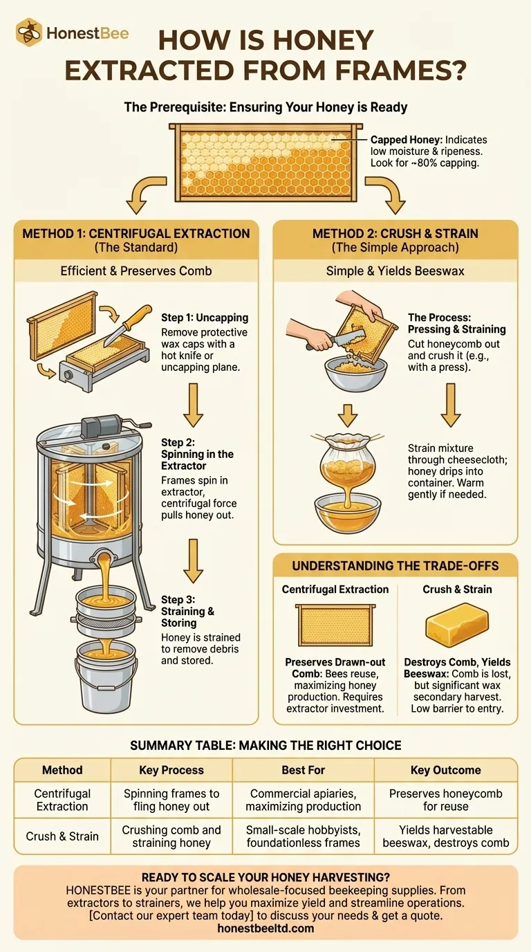 How is honey extracted from frames? Master the Centrifugal and Crush & Strain Methods Visual Guide