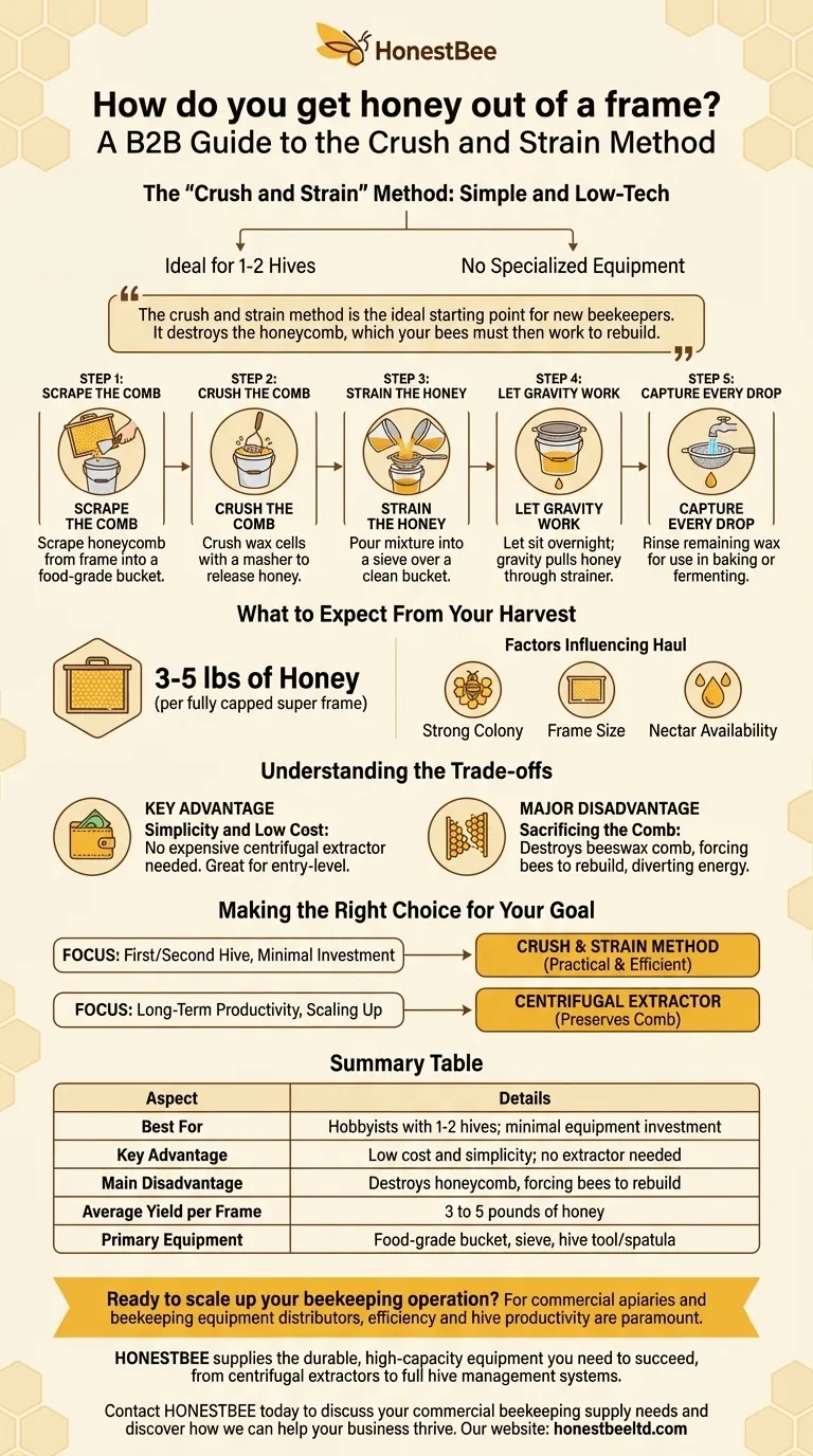 Comment extraire le miel d'un cadre ? Un guide du débutant pour la méthode d'écrasement et de filtration Guide Visuel