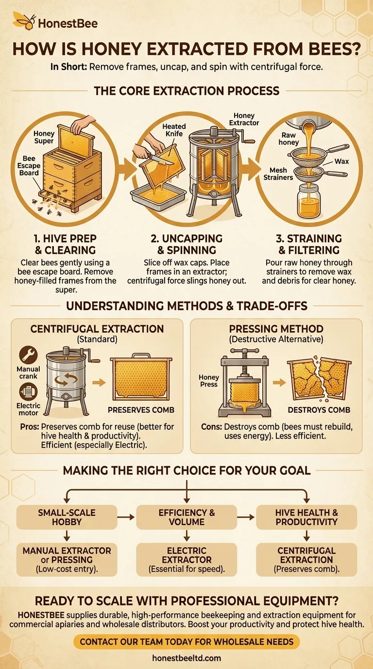 Como o mel é extraído das abelhas? Um Guia para uma Colheita Eficiente e Amigável às Abelhas Guia Visual
