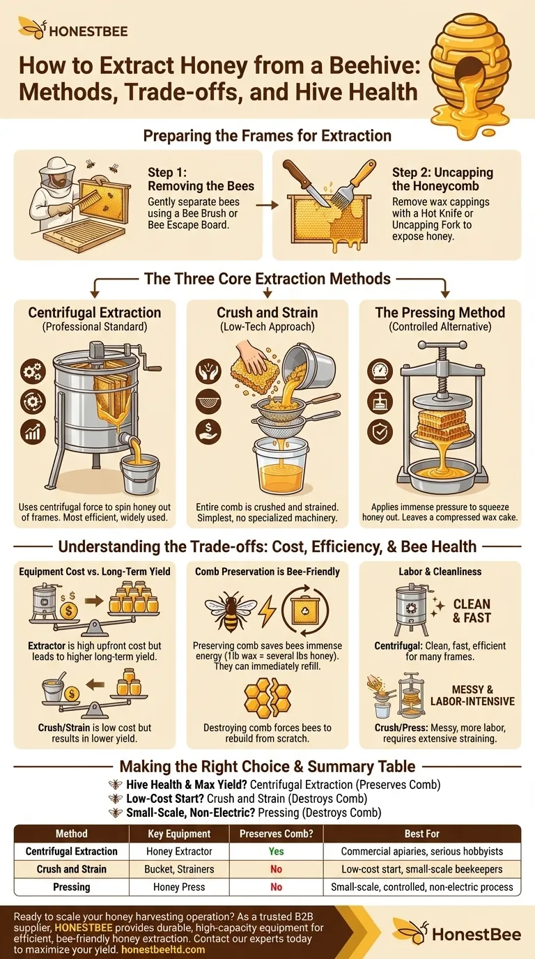 벌집에서 꿀을 어떻게 추출하나요? 효율적이고 벌에게 친화적인 방법 가이드 시각적 가이드