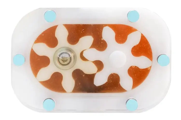 honey filling machine