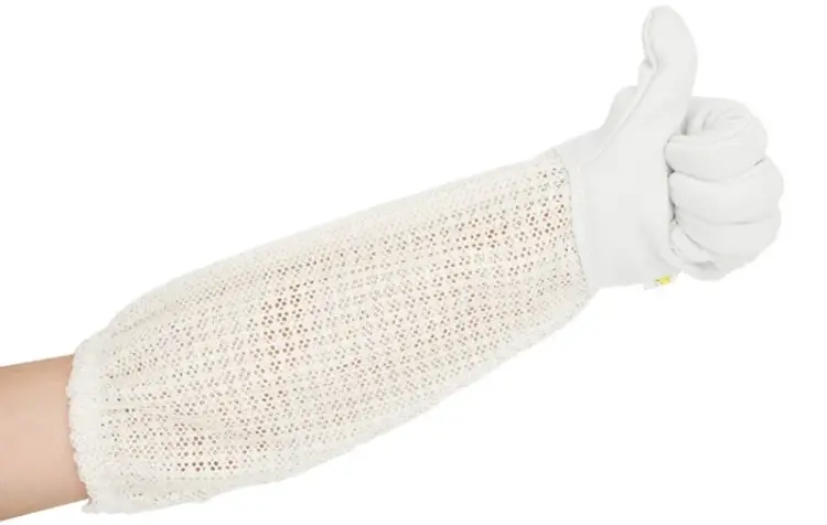 bee gloves