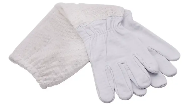 bee gloves