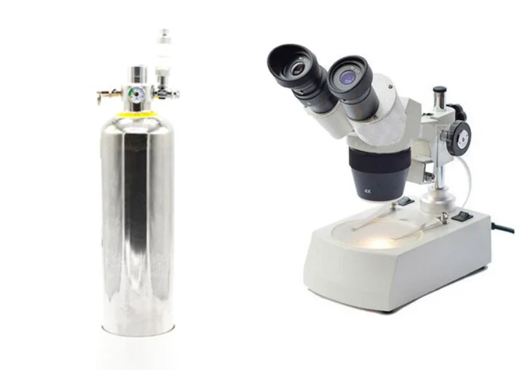bee artificial insemination