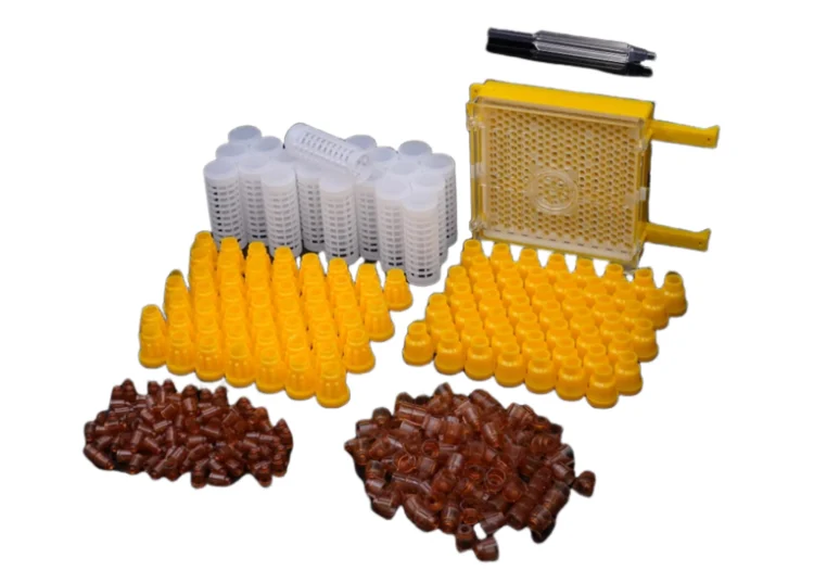 여왕 사육 키트