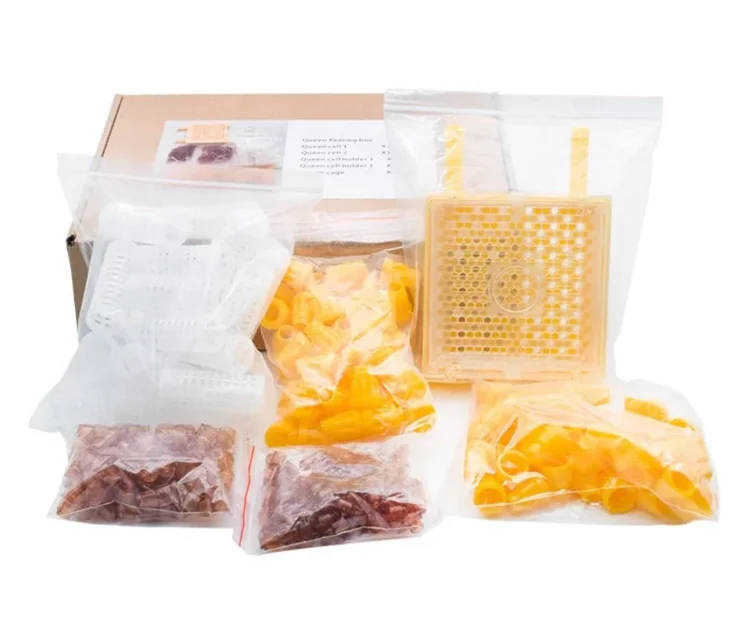 젠터 퀸 양육 키트