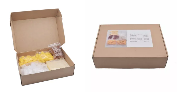 젠터 퀸 양육 키트