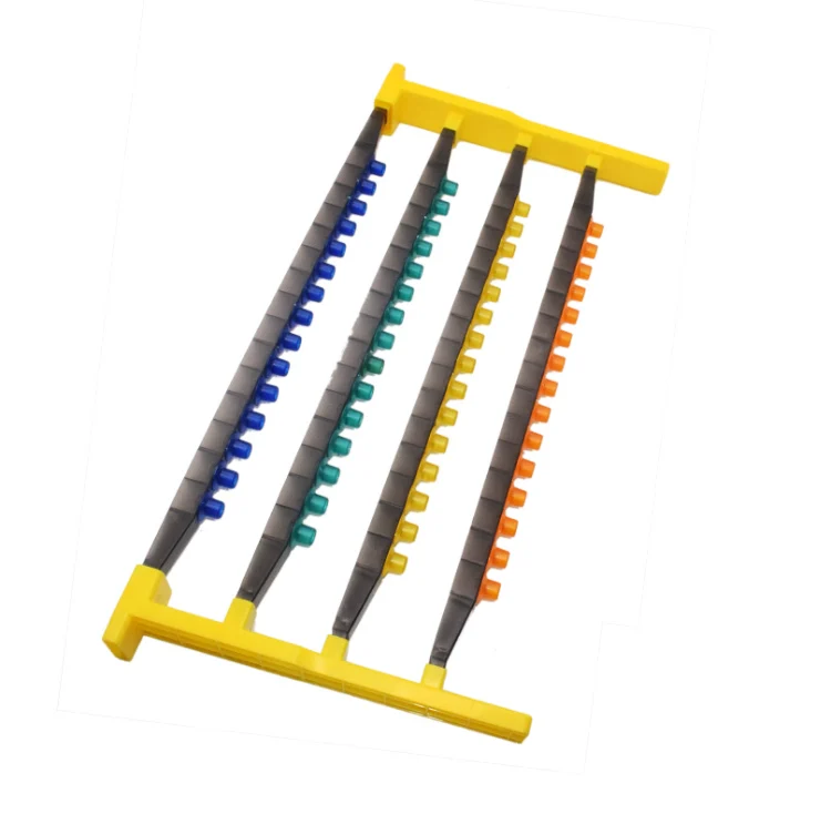 kits de criação de rainhas