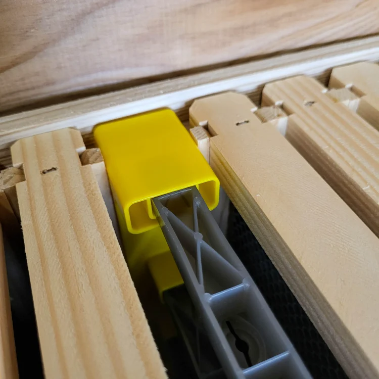 kit de criação de rainhas