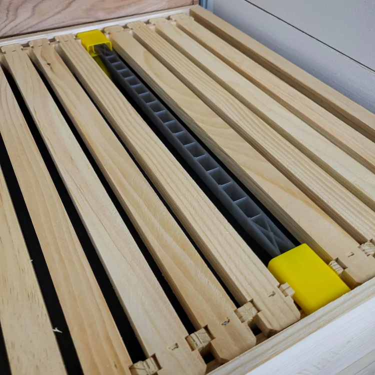 kit de criação de rainhas