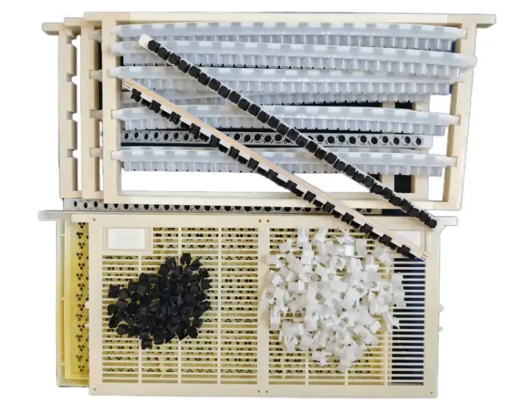 Kit de criação de rainhas