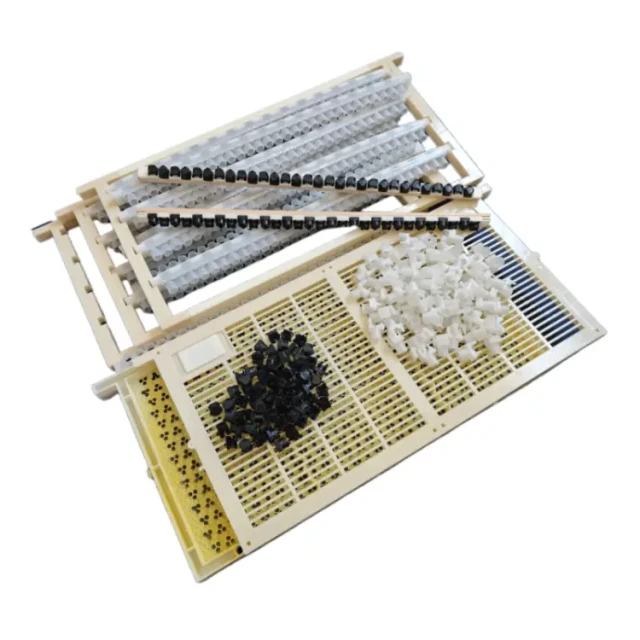 No Grafting Queen Rearing Kit: System for Royal Jelly Production and Queen Rearing