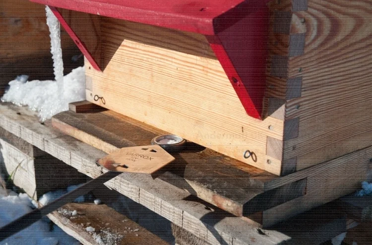 Oxalic Acid Vaporizer