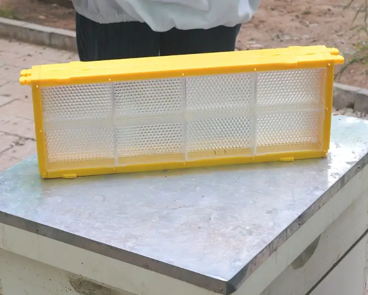 Honeycomb Cassette