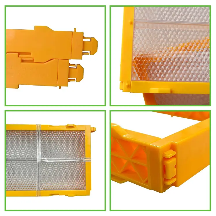 250G Honey Cassettes