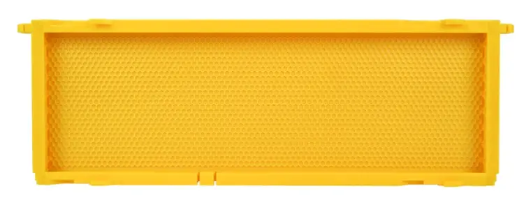 Honeycomb Cassette
