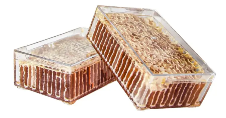 Honeycomb Cassette