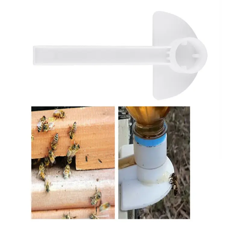bee feeder