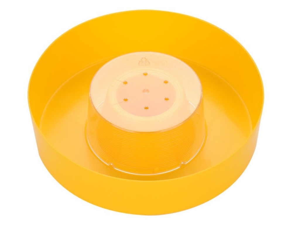 top Bee Feeder