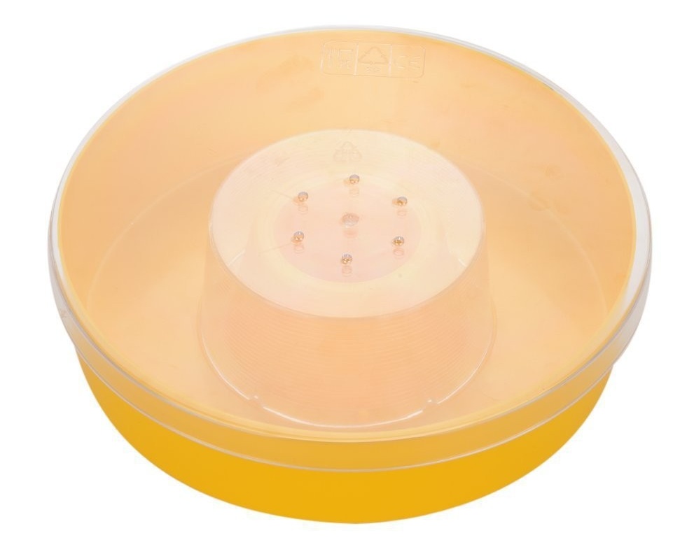 top Bee Feeder