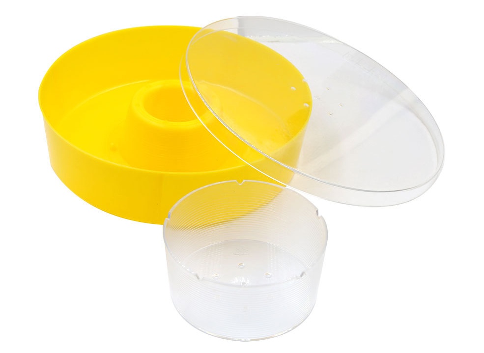 top Bee Feeder
