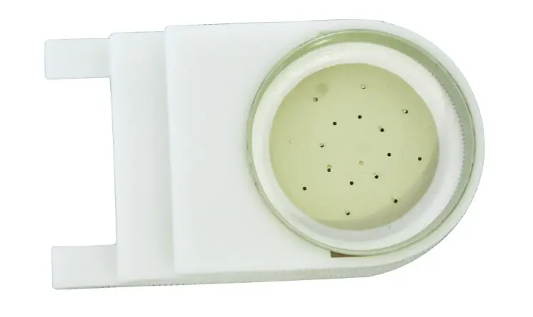 Boardman Entrance Bee  Feeder