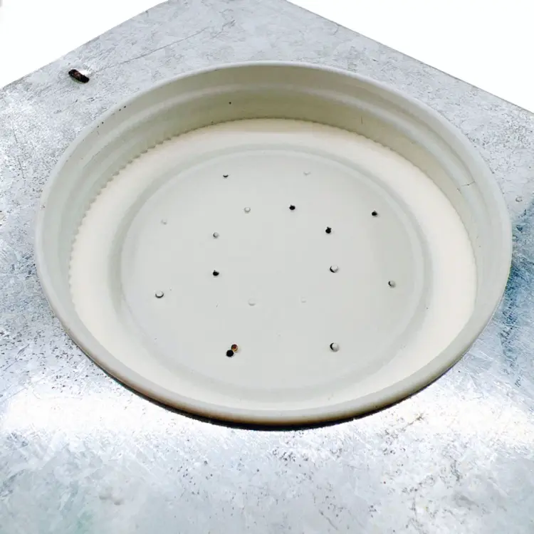 Boardman Entrance Bee Feeder