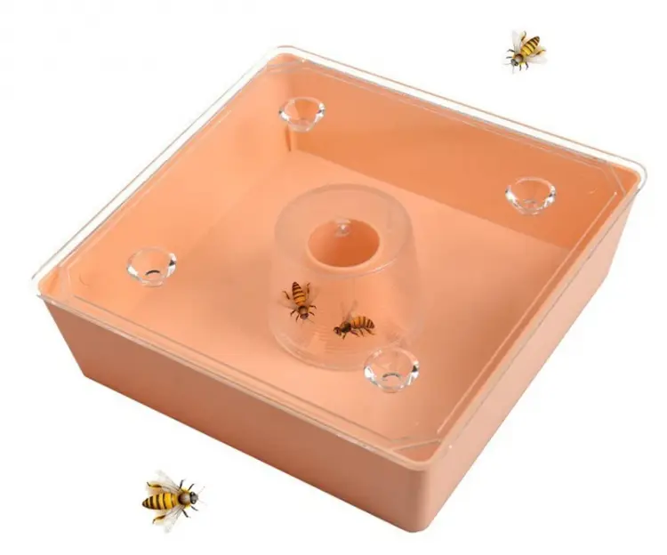 top Bee Feeder