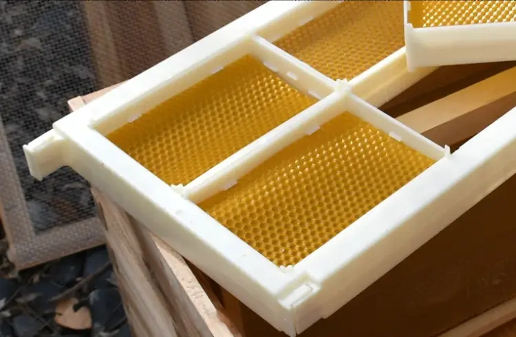 comb honey frame