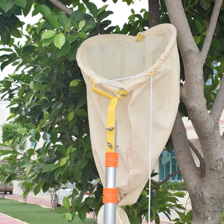 Bee Swarm Catcher