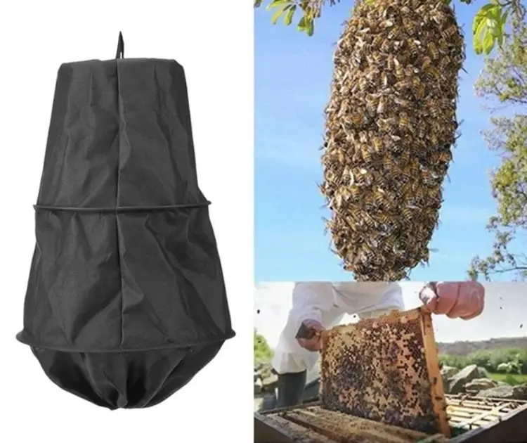 Bee Swarm Catcher