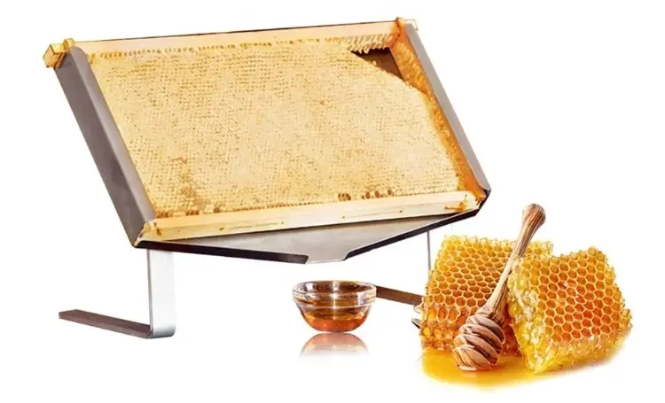 Honeycomb Display Stand