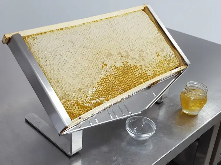 Honeycomb Display Stand