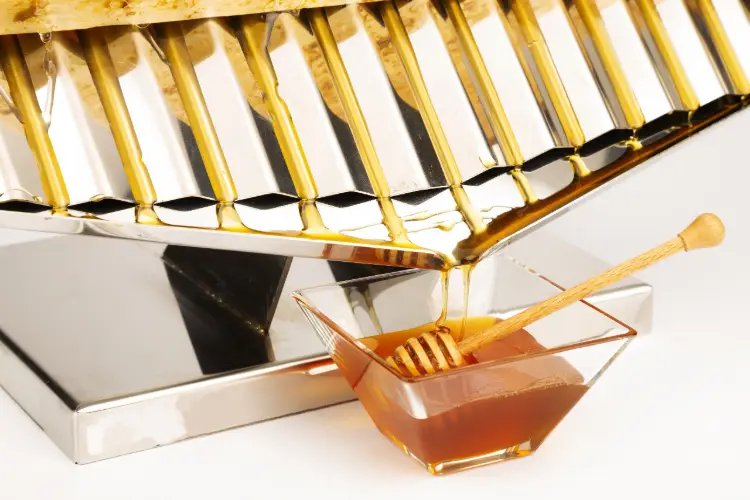 Honeycomb Display Stand