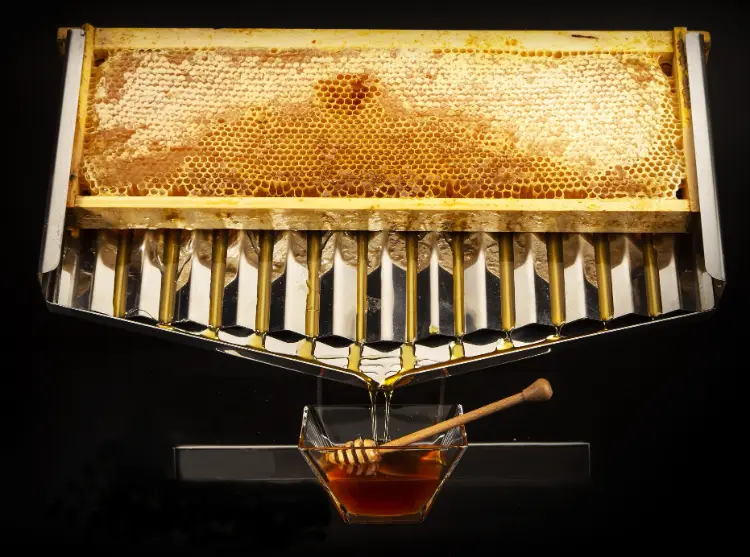 Honeycomb Display Stand