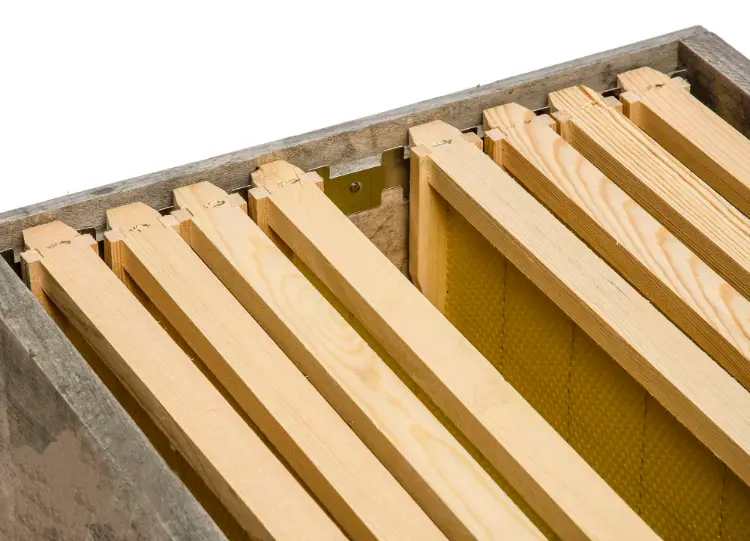 Frame Spacer
