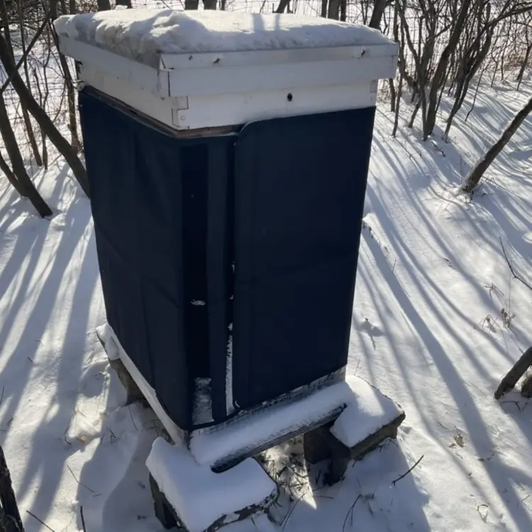 winter hive wrap