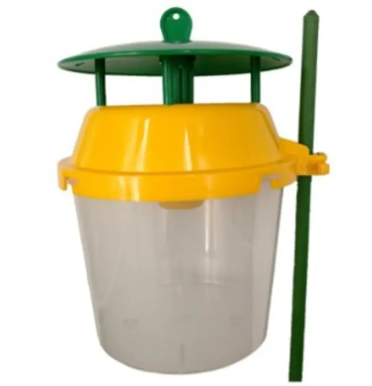armadilha para vespas