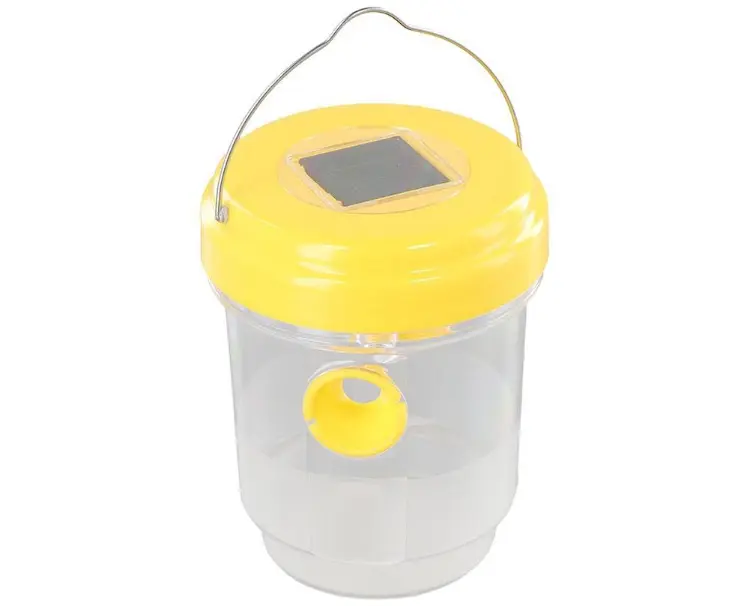 Armadilha para vespas
