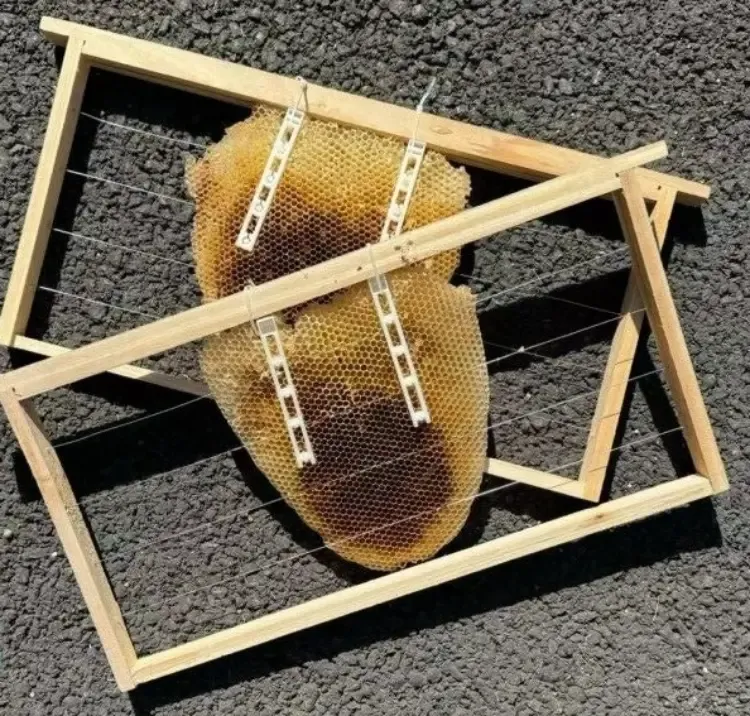 Accesorios para marcos de colmena