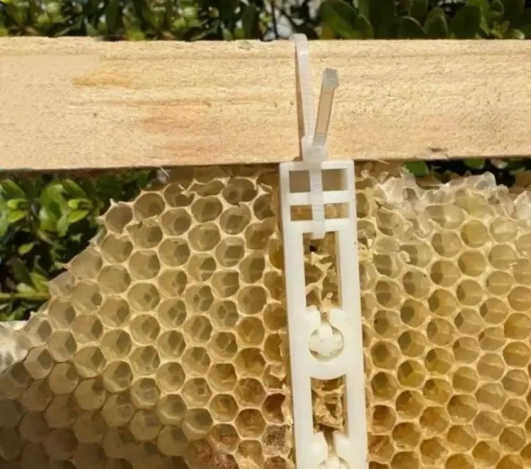 Accesorios para marcos de colmena